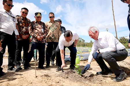 Wakil Gubernur Sumatera Utara Surya menghadiri kegiatan kunjungan lapangan bersama delegasi Temasek Singapura di kawasan Taman Sains Teknologi Herbal dan Hortikultura (TSTH2), Jum'at (10/7/2026). Foto/Diskominfo Sumut